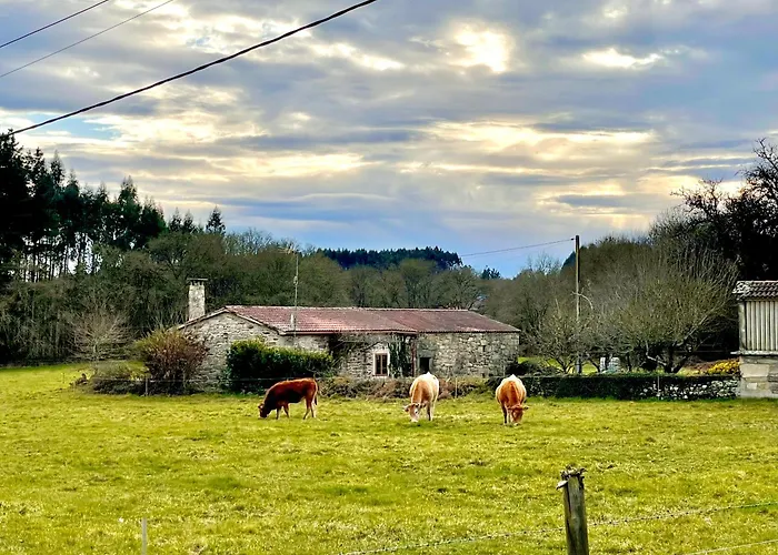 Refugio Del Camino Tatil Evi *